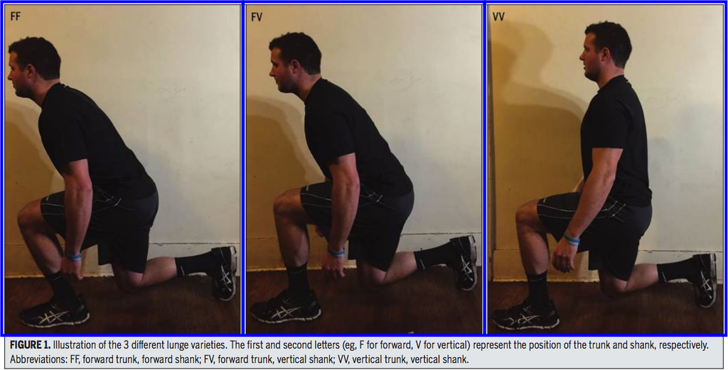 Lunge Position & Patellofemoral Stresses
